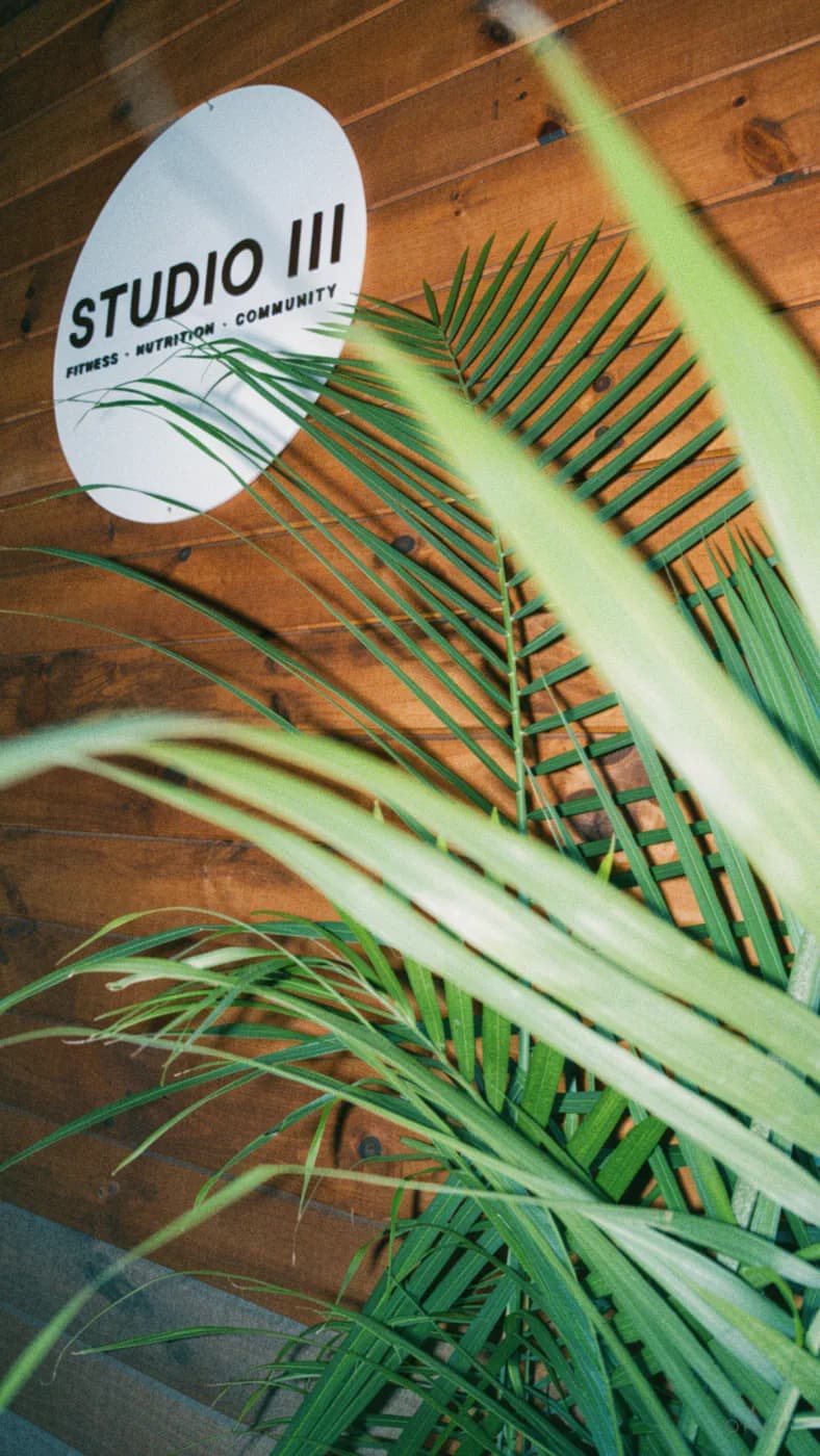 Studio III
